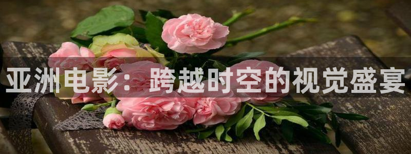 飘零影院伦理片