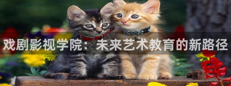 飘零影院在线电影：戏剧影视学院：未来艺术教育的新路径
