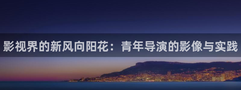 飘零影院新视觉：影视界的新风向阳花：青年导演的影像与实践